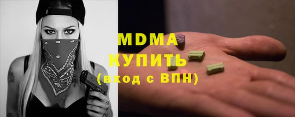 индика Алексин