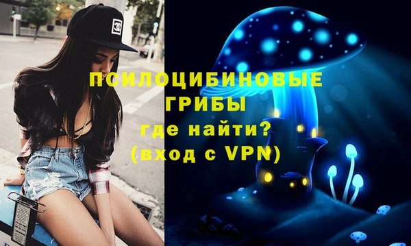 спайс Абаза