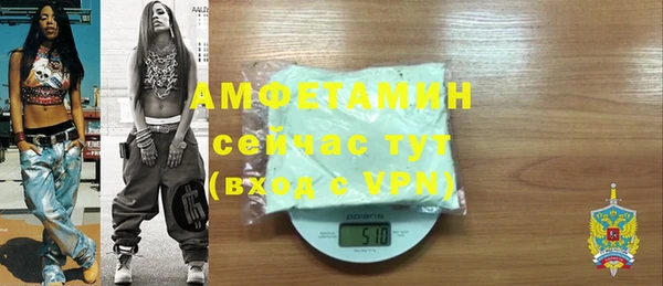 индика Алексин