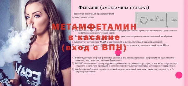 индика Алексин