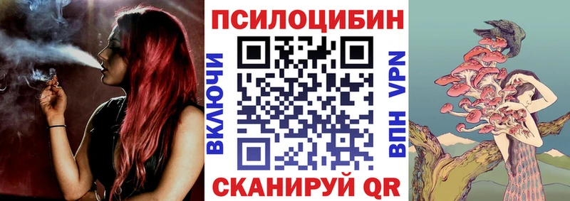 гидра маркетплейс  Питкяранта  Галлюциногенные грибы Cubensis 